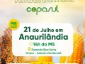Dia de Campo Copasul Anaurilândia - safrinha 2023